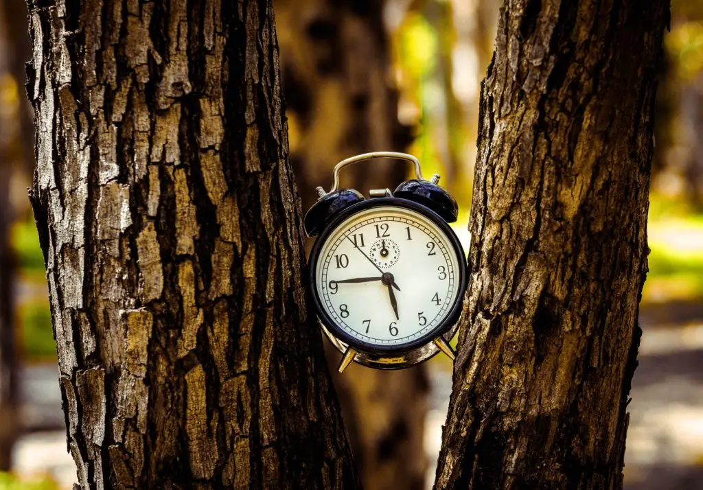 How To Sleep Better: Discover The Secrets Of A Good Night's Sleep 2 black analog alarm clock between two tree trunks