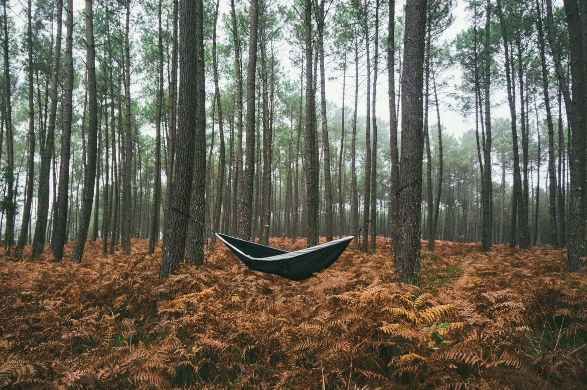 black hammock under green trees sleeping in tree