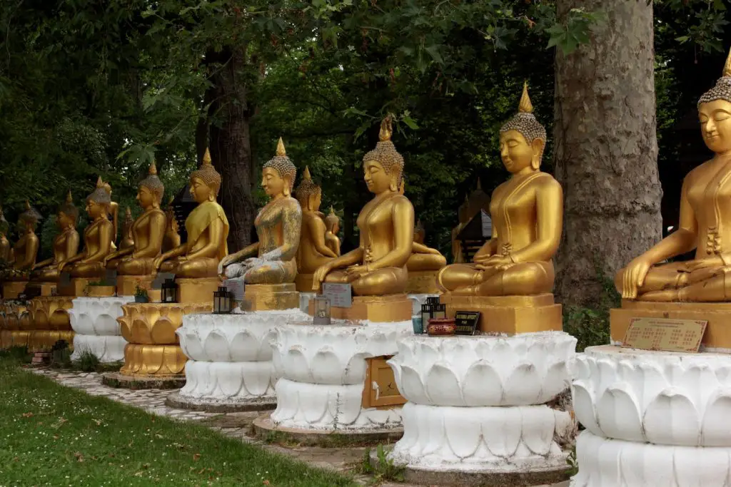 gold buddha statues on white table art of doing nothing wu wei