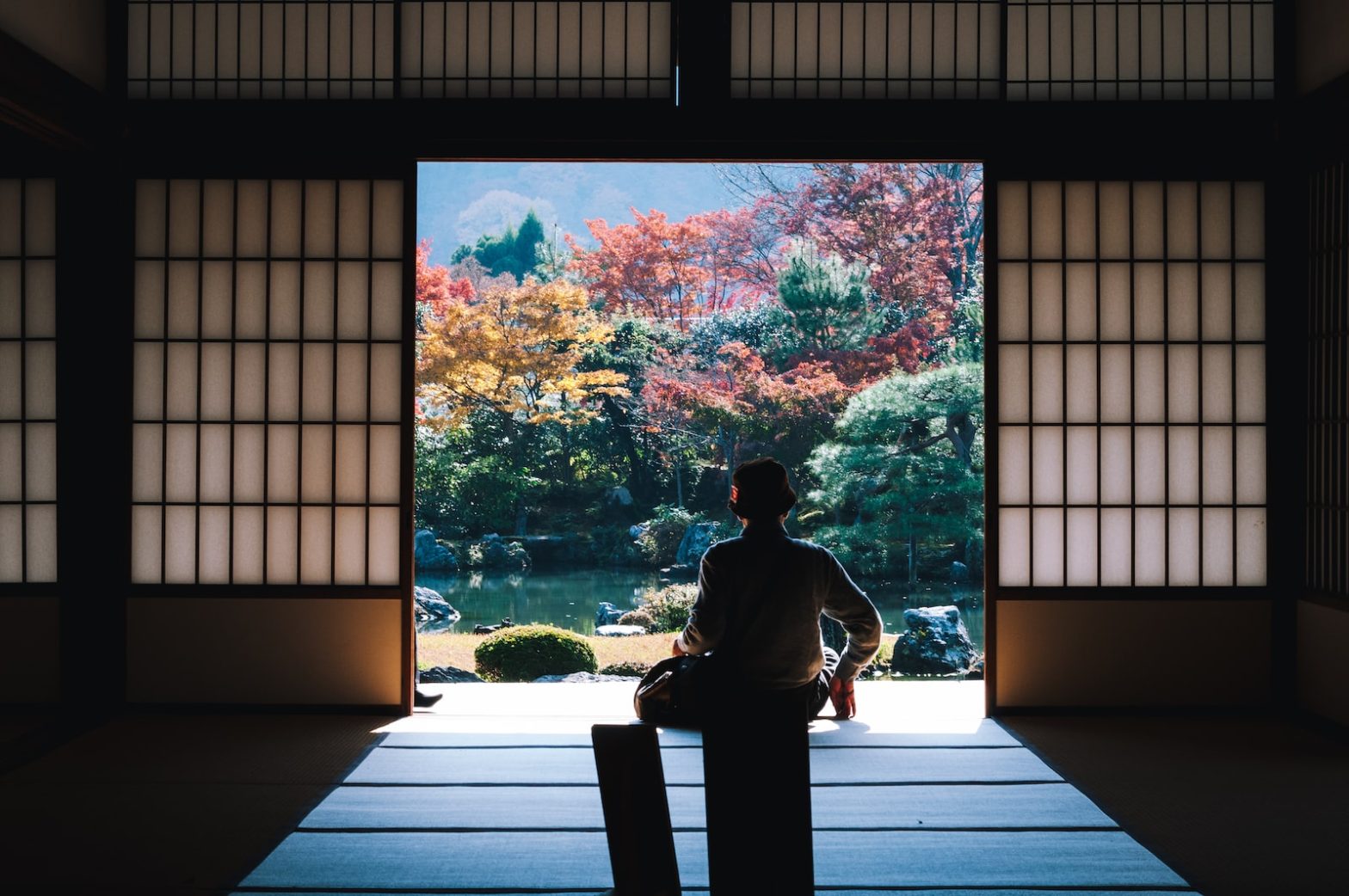 silhouette of man near outside Japanese Wake Up