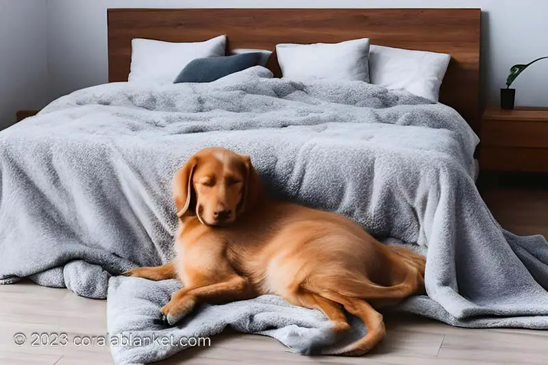 The 22 Best Weighted Blanket Alternatives 5 deep pressure therapy dog