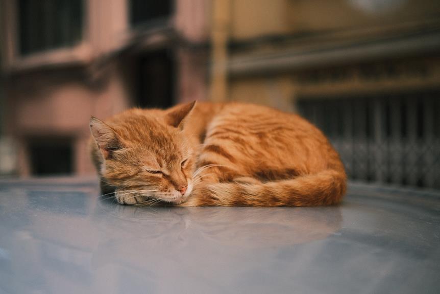 advantages of car sleeping
