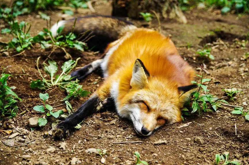 nature s impact on sleep